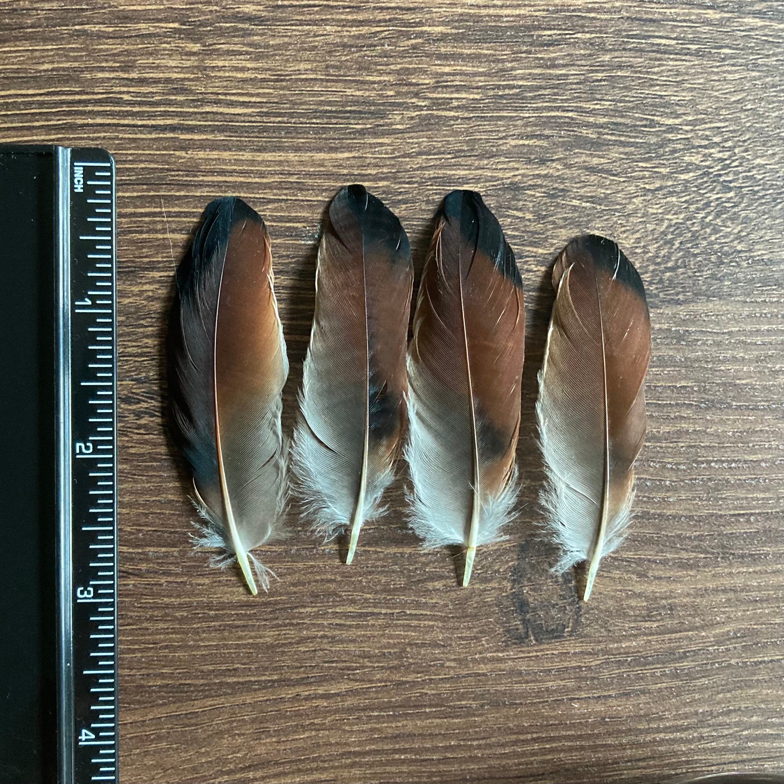 Brown Craft Feathers 5g